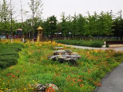 -永定河休闲森林公园