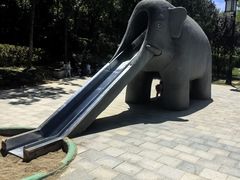 -迎泽公园