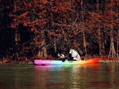 -上海海湾国家森林公园