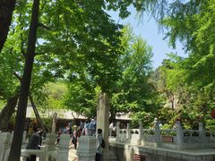 -潭柘寺景区