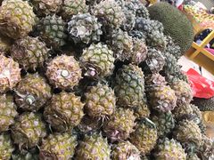 -三亚新鸿港水果一级批发市场