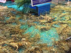 -驻海渔市(置信店)