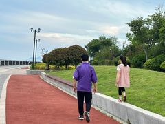 -星光岛