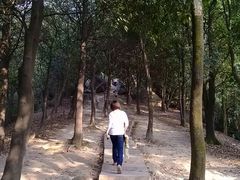 楼梯-火炉山森林公园