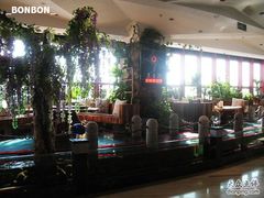 大堂茶吧-青岛华客度假酒店(极地海洋世界店)