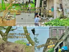 -赤坎·广东华侨国际旅游度假区