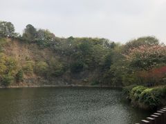 -王借岗森林公园
