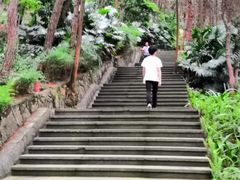 -铁山坪森林公园