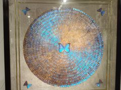 -上海昆虫博物馆