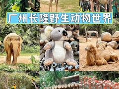 -广州长隆野生动物世界