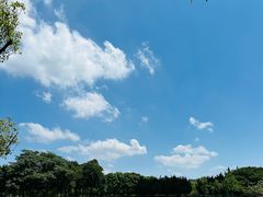 -上海大学(宝山校区)