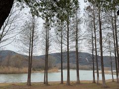 -长广溪湿地公园