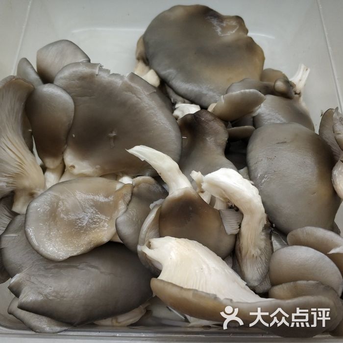 事爱情麻辣烫平菇图片-北京川菜/家常菜-大众点评网