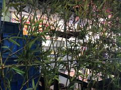 -祥阁食府妈妈菜