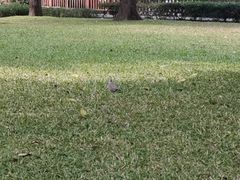 -晓港公园