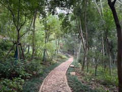 -上海佘山国家森林公园天马山园