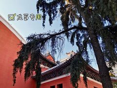 -抗战胜利纪念堂博物馆