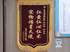 -米苏动物医院·犬猫专科·骨科外科内窥镜