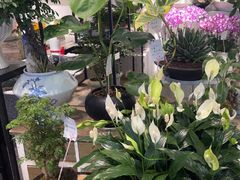 -豆豆花艺(新光天地店)