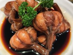 -刘胖子家常菜·蹄花焖藕(中南店)
