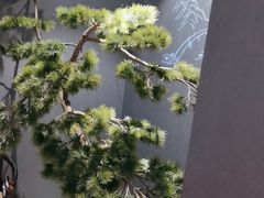 -金狮麟·新豫菜(杏石口路店)