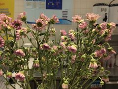 -肆季·鲜萃果粒汁