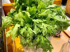 -成都老码头火锅(旺角店)