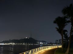 -野狸岛