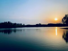 -东郊湿地公园