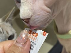 -藏猫猫咖啡主题馆(中央大道店)