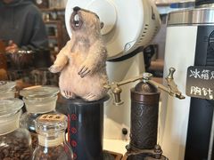 -CABO Coffee