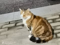-康友四季(星汇广场店)