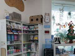 -纳吉亚猫专科动物医院·北北分院