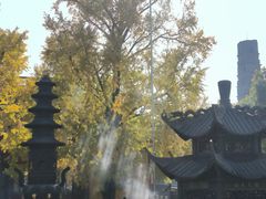 -上海青龙寺