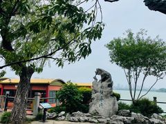 -无锡蠡湖国家湿地公园-蠡园