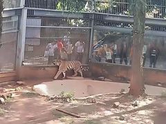 -昆明动物园