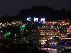 -枇杷园食为鲜火锅(南山店)