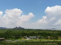 -芒洲湿地公园