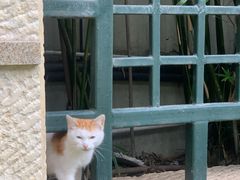 -复旦大学附属华山医院(总院)