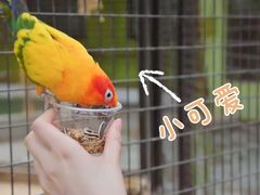 -北京野生动物园