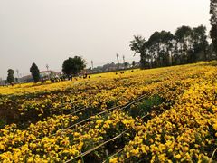 -中国天府农业博览园