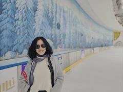-世界之窗阿尔卑斯冰雪世界