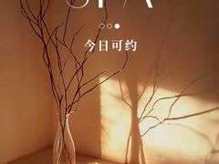 -道合堂·中式按摩·spa(民治店)