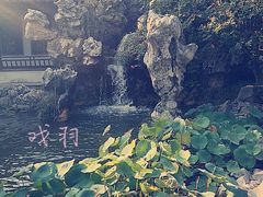 定圆-定园