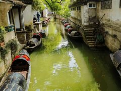 -绍兴鲁迅故里·沈园景区