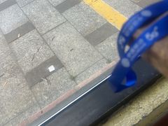 -七欣天香辣蟹火锅(苏州塔园路店)