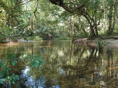 -海南热带雨林国家公园吊罗山景区