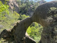 -六里坪国家森林公园