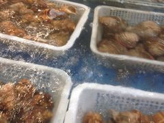 -渔人家宴