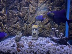 -常州海昌海洋探索馆